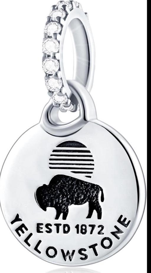 Buy & Sell Minworth Trade Park Birmingham - Photos for Yellowstone National Park Silver Charm NEW