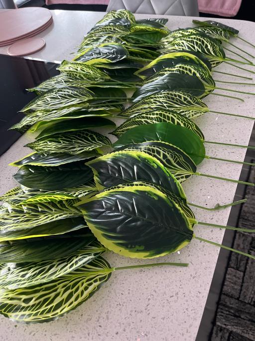 Buy & Sell Tividale Sandwell - Photos for Artificial leaves