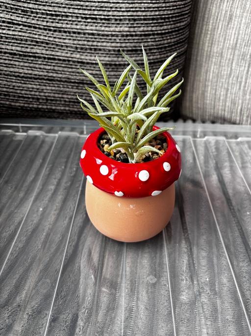 Buy & Sell Norbury South West London - Photos for Brand new artificial plant