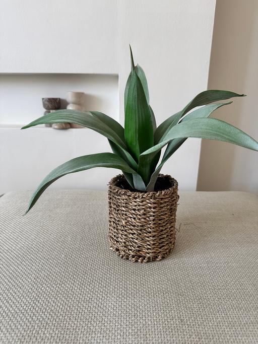 Buy & Sell Ibstock North West Leicestershire - Photos for Artifical Plant in rattan pot