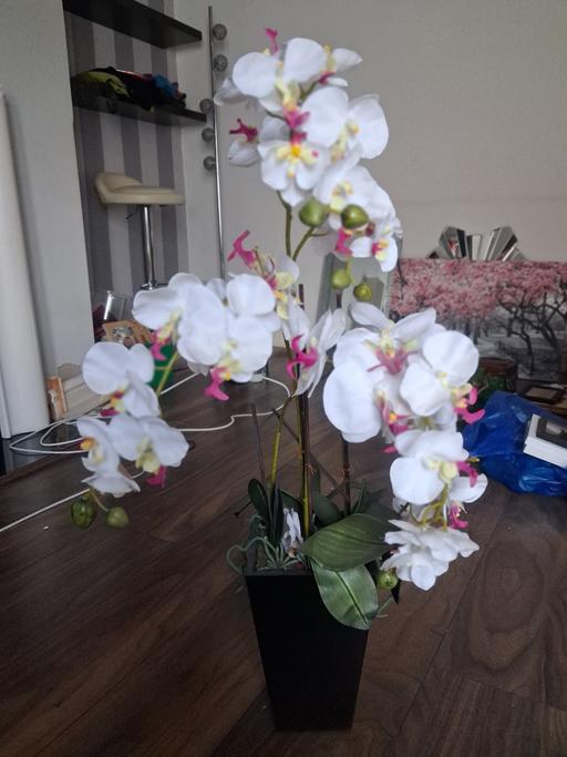 Buy & Sell Tyldesley Wigan - Photos for faux flower