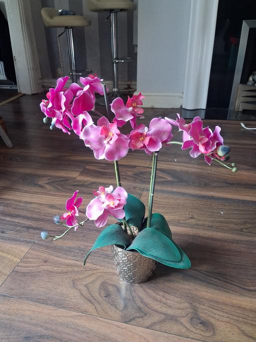 Buy & Sell Tyldesley Wigan - Photos for Faux orchid
