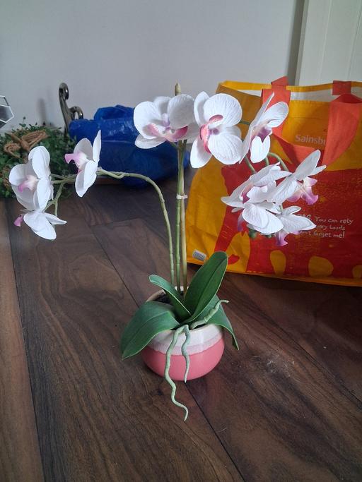 Buy & Sell Tyldesley Wigan - Photos for pink collection of ornaments