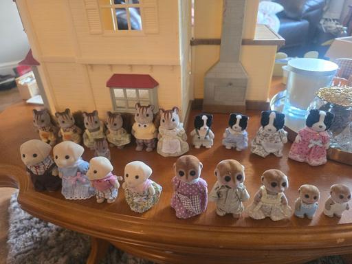 Buy & Sell Hertburn Sunderland - Photos for Syvanian families figures bundle