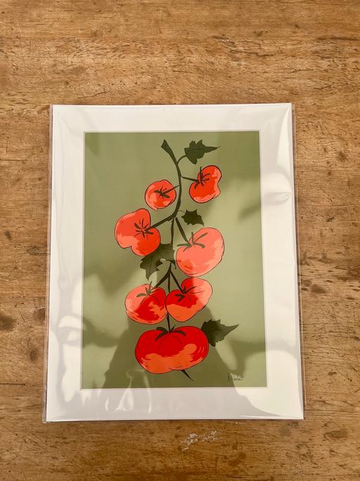 Buy & Sell Nantwich Cheshire East - Photos for A4 Toms print by Danielle Woodnutt