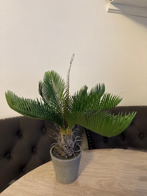 Buy & Sell Commercial Road East London - Photos for Artificial coconut plant