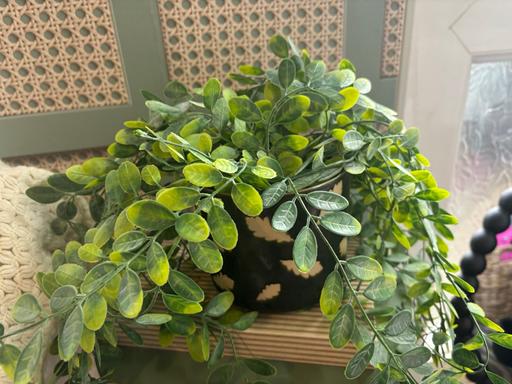 Buy & Sell Bartley Green Birmingham - Photos for Artificial plant