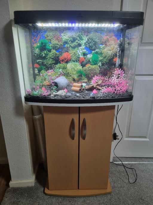 Buy & Sell Grafton Street Industrial Estate West Northamptonshire - Photos for Fish Aquarium with stand
