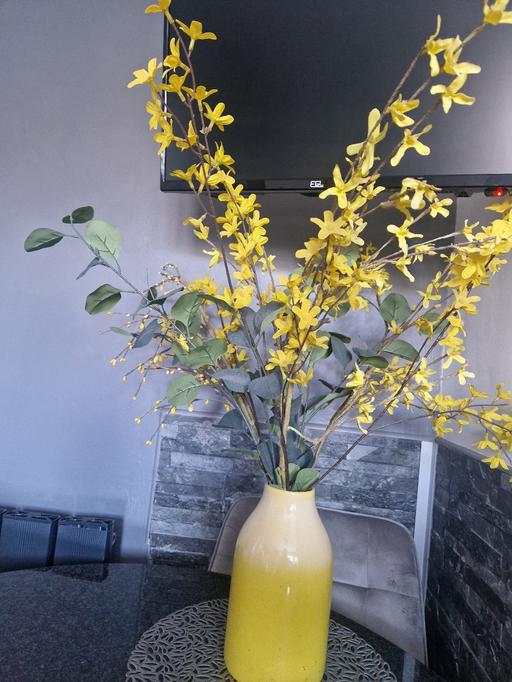 Buy & Sell Scholes Rotherham - Photos for Next L vase & flowers