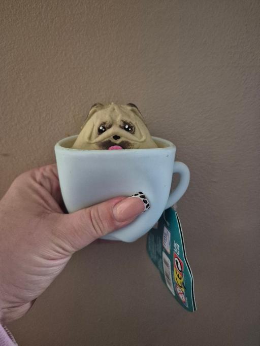 Buy & Sell Crumpsall Manchester - Photos for new Pug In A Mug