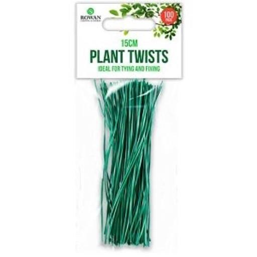 Buy & Sell Blackpool Lancashire - Photos for Plant Twists - 100pc