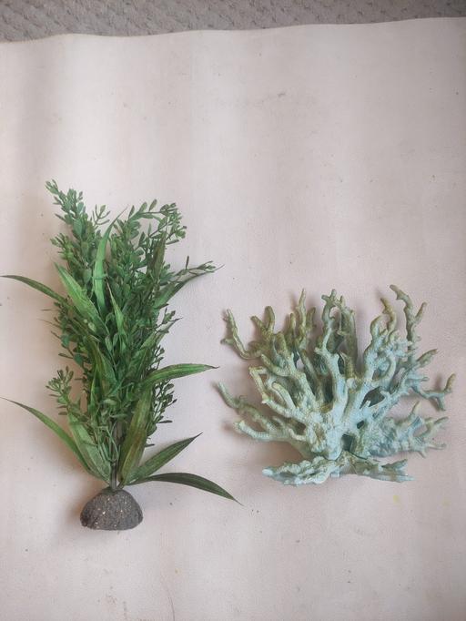 Buy & Sell Grafton Street Industrial Estate West Northamptonshire - Photos for Aquarium plant decoration