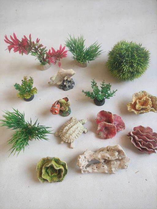 Buy & Sell Grafton Street Industrial Estate West Northamptonshire - Photos for Aquarium decoration