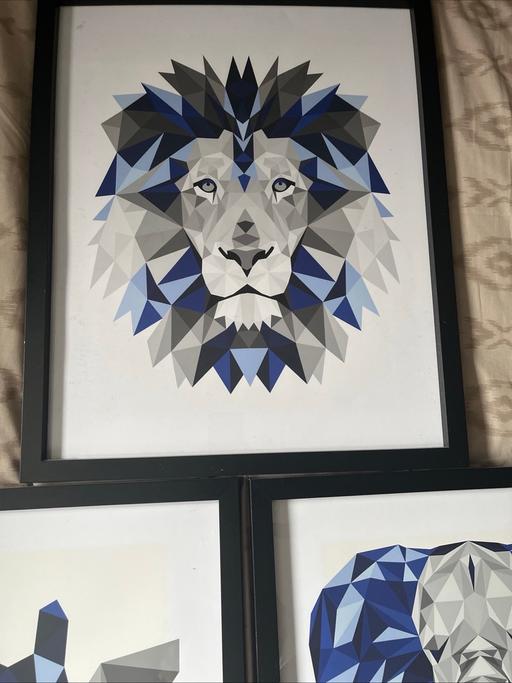 Buy & Sell Kings Heath Birmingham - Photos for Large animal picture