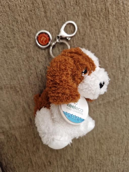 Buy & Sell Ramsgate Thanet - Photos for bn small dog keyring/bag charm