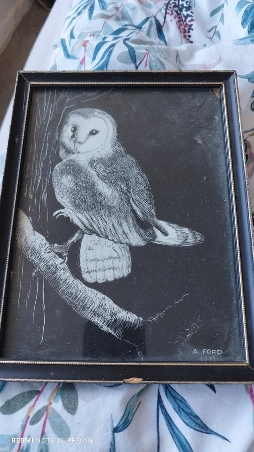 Buy & Sell Langley New Forest - Photos for Owl artwork