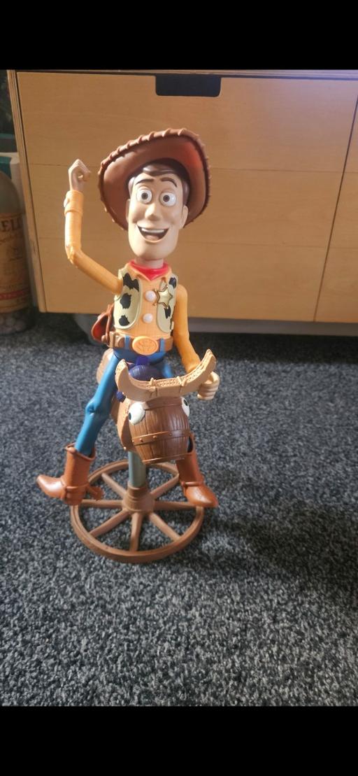 Buy & Sell Kingshurst Solihull - Photos for Bull riding Woody