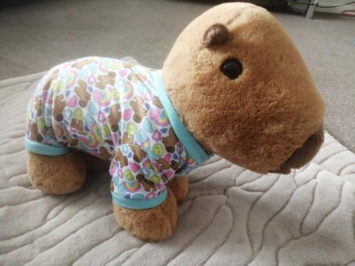 Buy & Sell Heath Town Wolverhampton - Photos for New build a bear capybara & outfit