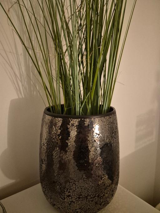 Buy & Sell Dudley West Midlands - Photos for silver flower pot