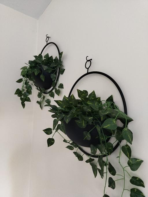 Buy & Sell Southbourne Chichester - Photos for Indoor Hanging Baskets