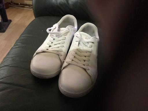 Buy & Sell Kearsley Bolton - Photos for Trainers