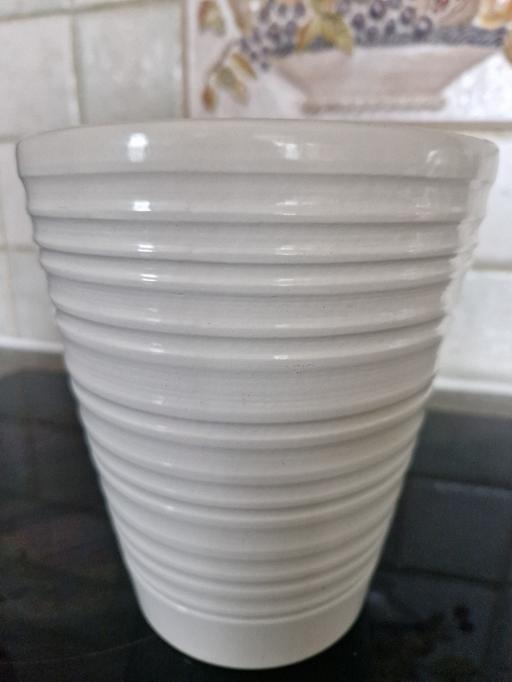 Buy & Sell Grassmoor North East Derbyshire - Photos for medium size pot