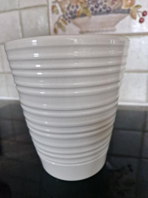 Buy & Sell Grassmoor North East Derbyshire - Photos for medium size pot