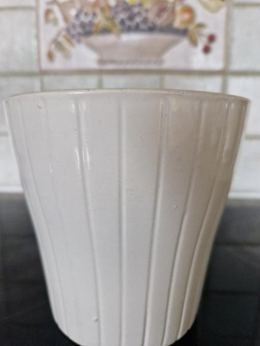 Buy & Sell Grassmoor North East Derbyshire - Photos for medium size pot