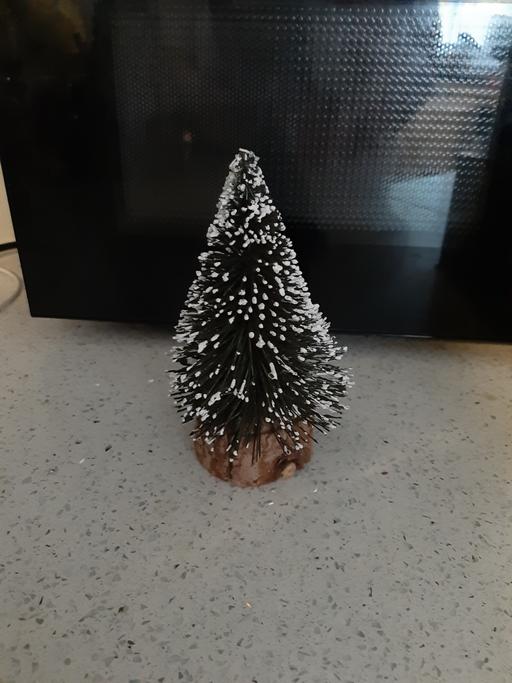 Buy & Sell South Hylton Sunderland - Photos for tree dec