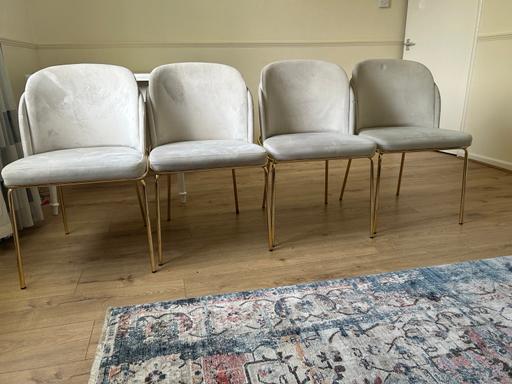 Buy & Sell Horn Park South East London - Photos for Dining chairs