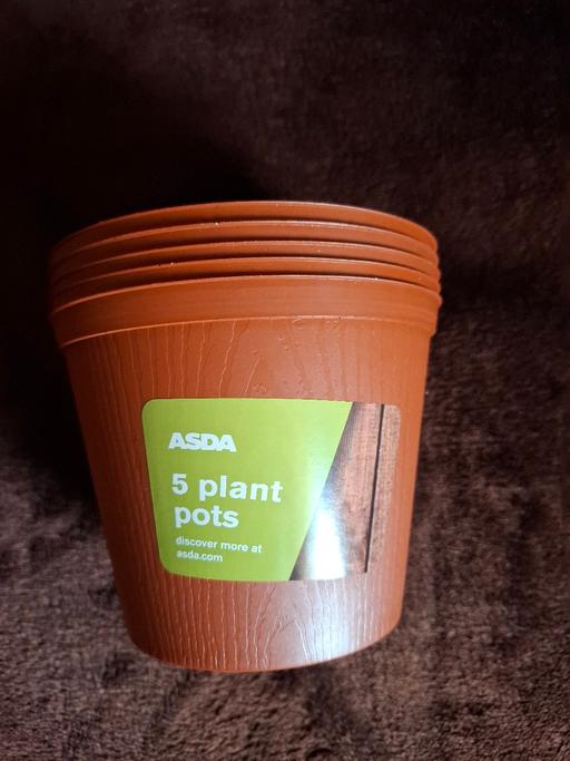 Buy & Sell Woodsetton Dudley - Photos for PLANT 🪴 POTS