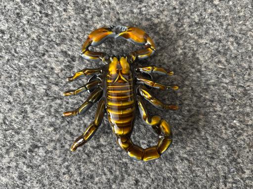 Buy & Sell Princes End Sandwell - Photos for Scorpion belt buckle