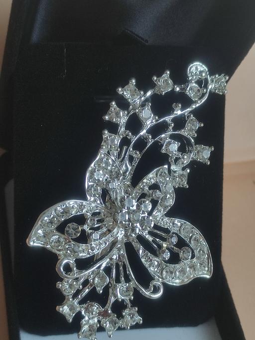 Buy & Sell Grafton Street Industrial Estate West Northamptonshire - Photos for New beautiful brooch