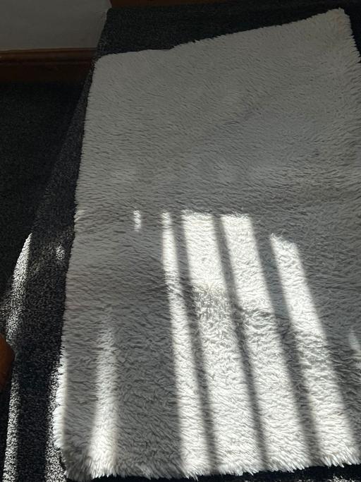 Buy & Sell Shipley Bradford - Photos for Cream rug