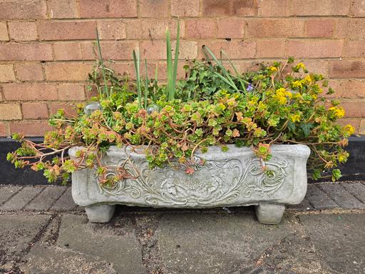 Buy & Sell Rainham Havering - Photos for Decorative trough planter with Cherub Design