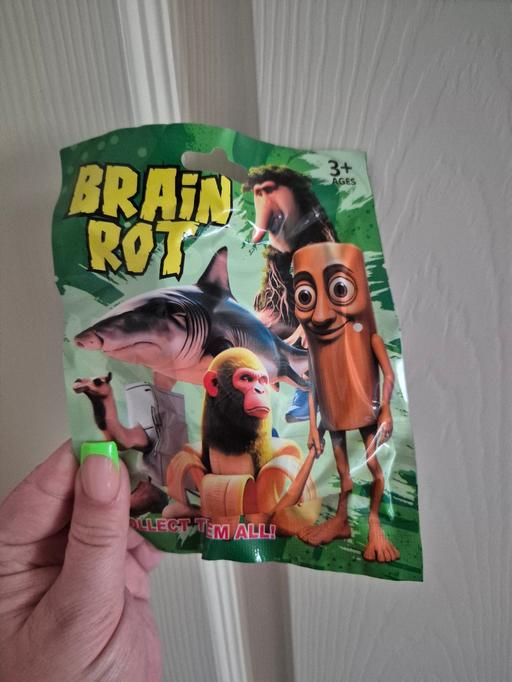 Buy & Sell Crumpsall Manchester - Photos for new Brainrot Mystery Fig Bag