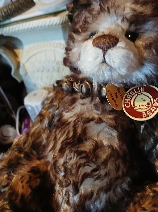 Buy & Sell Netherton Dudley - Photos for charlie bear13 inches guessing