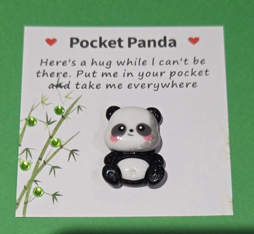 Classes Westgate-on-Sea Thanet - Photos for POCKET PANDA HUG