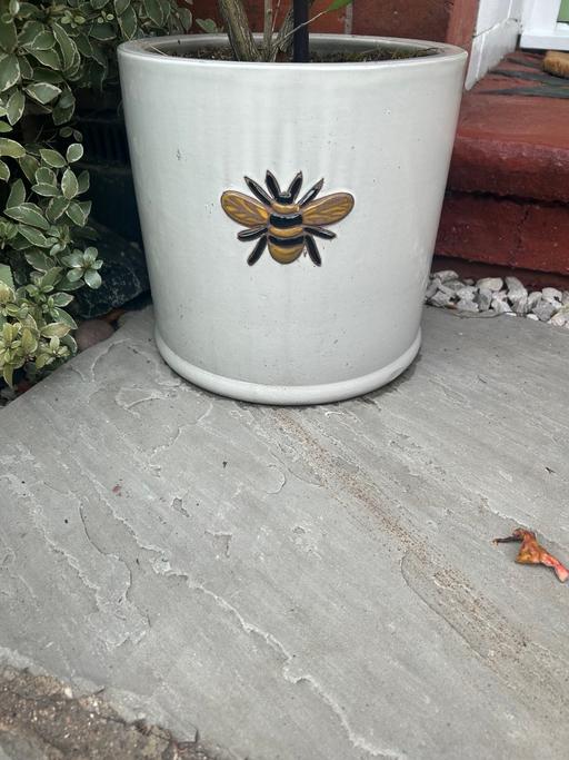 Buy & Sell Stourbridge Dudley - Photos for Large bee outdoor pot