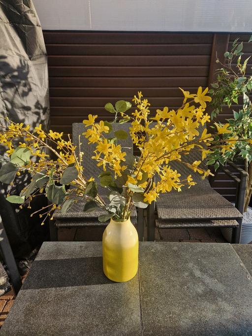 Buy & Sell Scholes Rotherham - Photos for Large artificial plant inside /outside