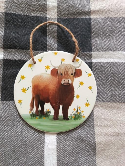 Buy & Sell Ardwick Manchester - Photos for Highland cow