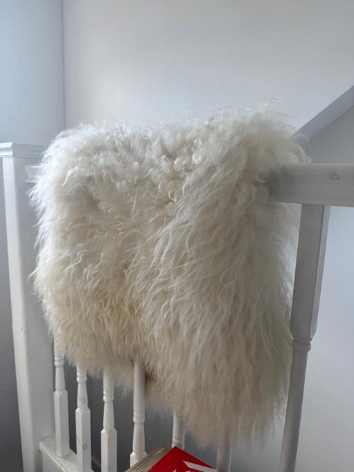 Buy & Sell Noel Park North London - Photos for Genuine sheepskin fur rug