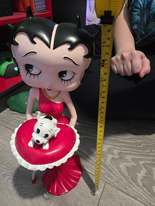 Buy & Sell Longton Stoke-on-Trent - Photos for betty boo holding dog on pillow