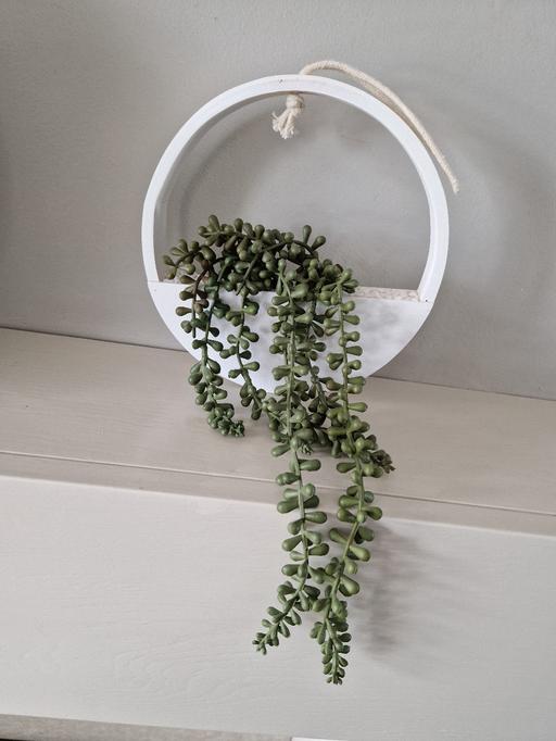 Buy & Sell Scholes Rotherham - Photos for Hanging artificial flowers