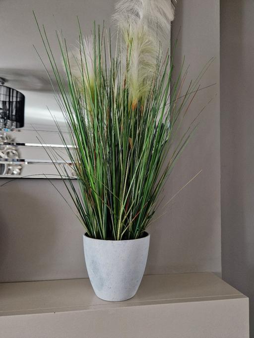 Buy & Sell Scholes Rotherham - Photos for Large artificial plant and pot