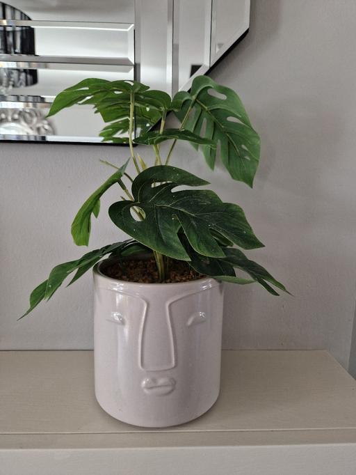 Buy & Sell Scholes Rotherham - Photos for Artificial pot plant