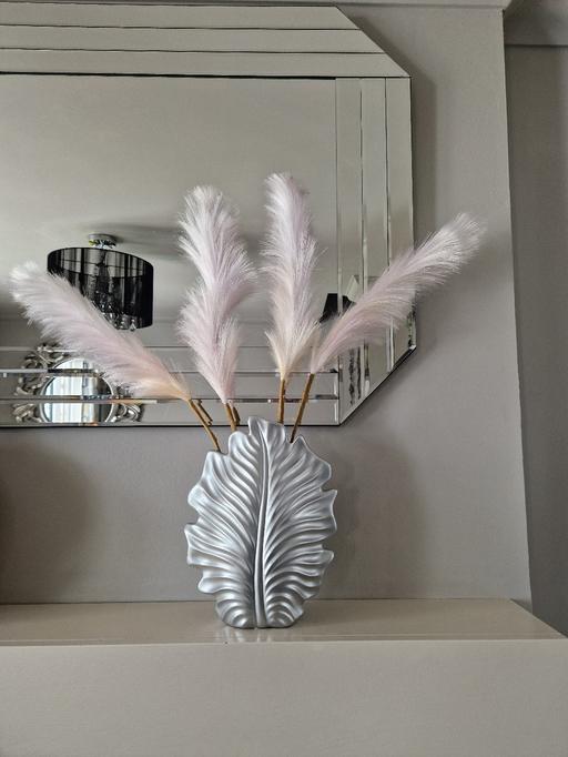 Buy & Sell Scholes Rotherham - Photos for Silver vase and feathers