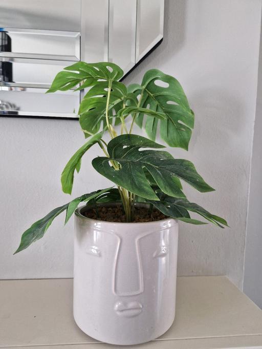 Buy & Sell Scholes Rotherham - Photos for Artificial pot plant