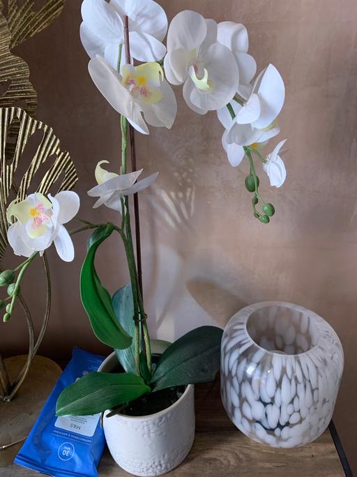 Buy & Sell Kitts Green Birmingham - Photos for Flower