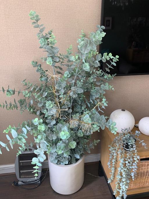 Buy & Sell Kitts Green Birmingham - Photos for Faux plant